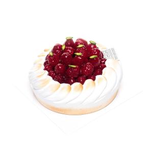 Sneeuwtaart Painture