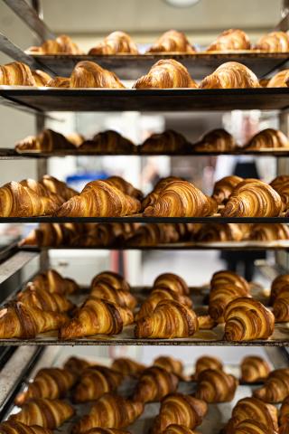 Kunst van het bakken  - Painture